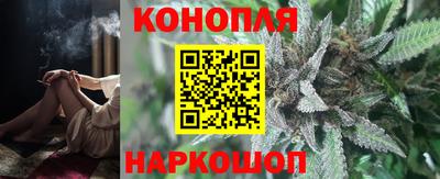крисы Будённовск