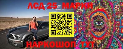 крисы Будённовск