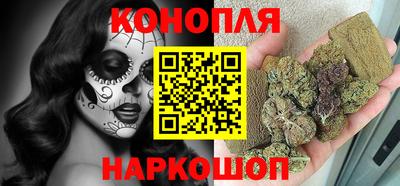 крисы Будённовск