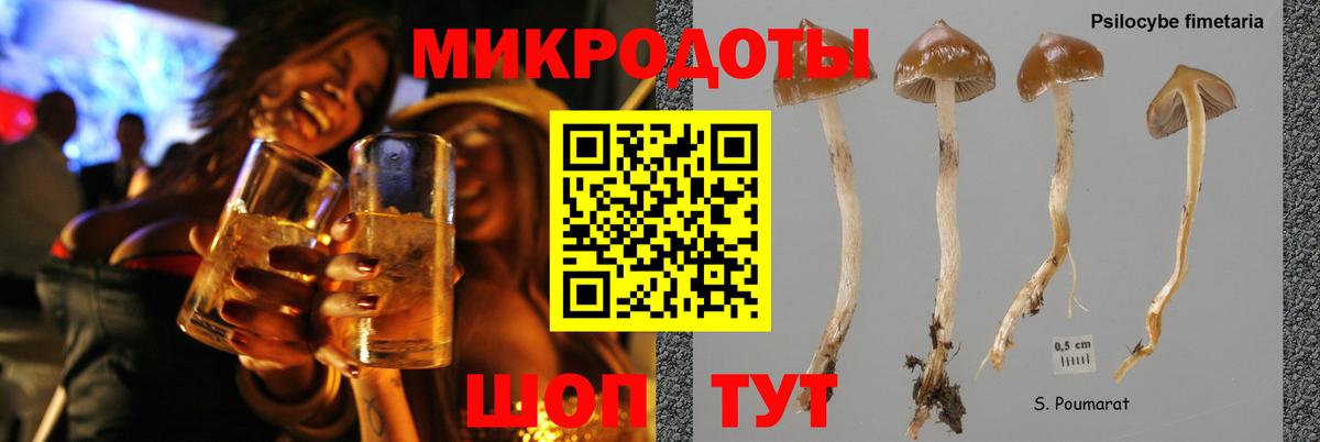 Галлюциногенные грибы GOLDEN TEACHER Мелеуз