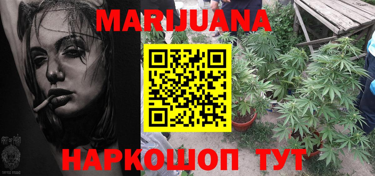 Конопля планчик Мелеуз